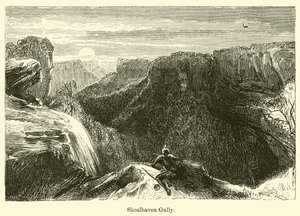 Wąwóz Shoalhaven autorstwa Harden Sidney Melville